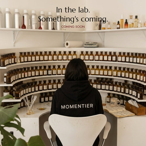MAINSTAY by Momentier — coming soon